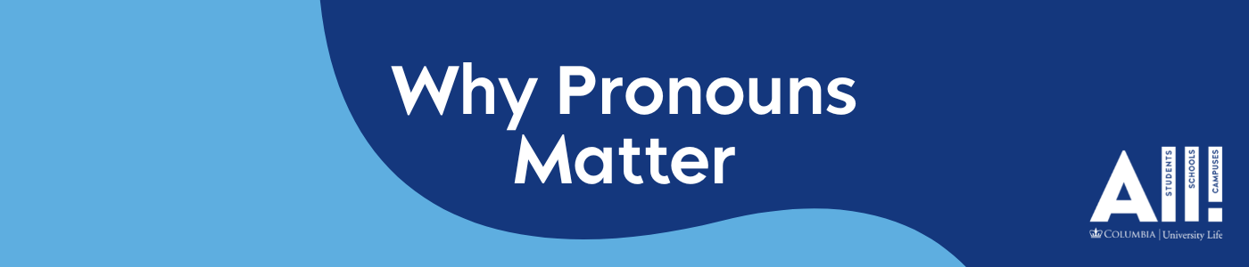 light blue background with dark blue wave, text: Why Pronouns Matter