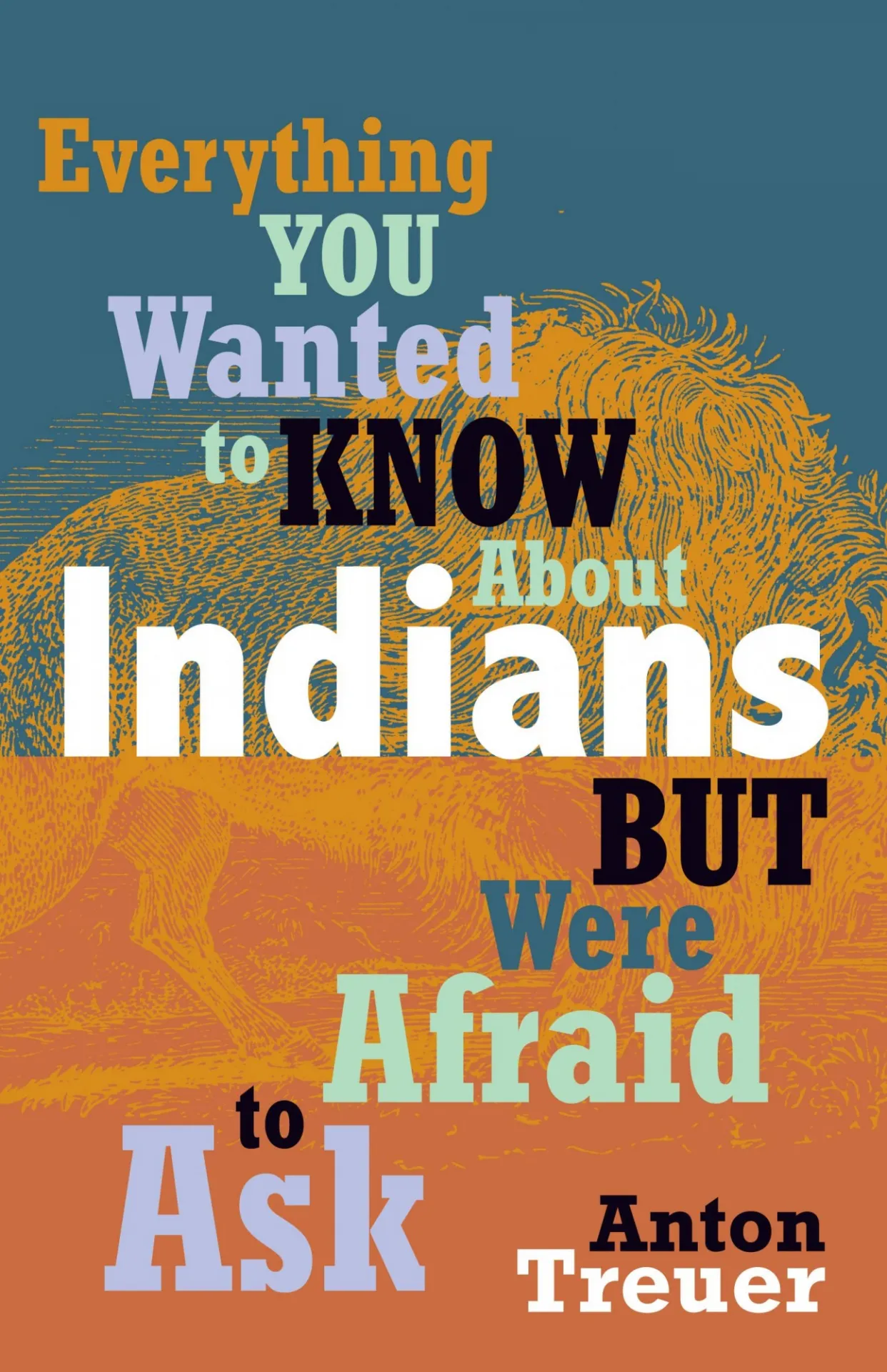 Book cover for Everything You Wanted to Know About Indians But Were Afraid to Ask