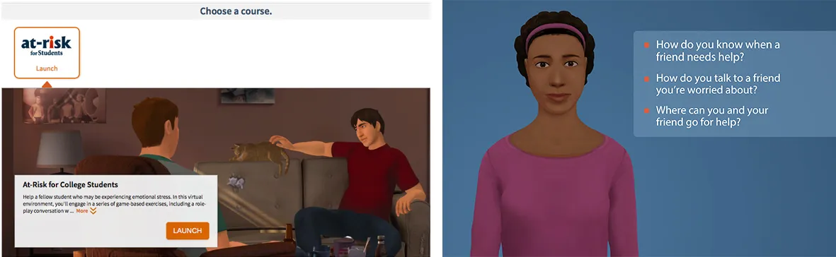 sample screen of simulation